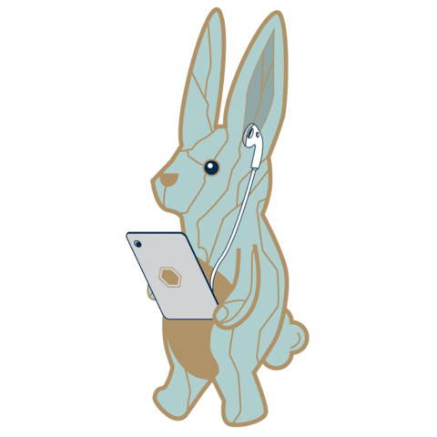 sceneshang giphyupload rabbit lantern rabbits Sticker