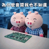 我也不知道 GIF