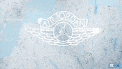 North Carolina Yes GIF by UNC Tar Heels