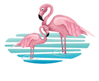 Beach Flamingo Sticker by Berchida