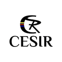 colegiocesir cesir Sticker