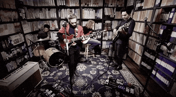 live music band GIF by zck_kntr