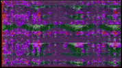 Video Art GIF by cskonopka