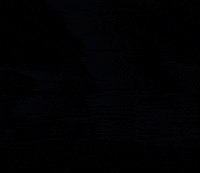 Funny Deer GIF by Wondeerful farm