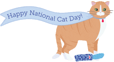 kongcompany cat kong catday kongcompany Sticker