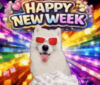 Sunday Lunes GIF