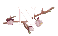 n Sticker by Natuzzi