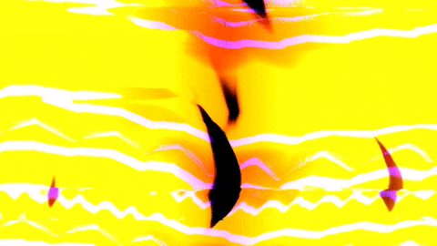 Video Art GIF by cskonopka