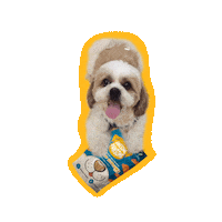 Happy Dog Sticker by Awesome Pawsome Treats