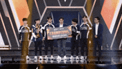 Fw Flashwolves GIF