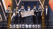Fw Flashwolves GIF