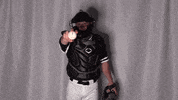 Collegebaseball Ncaadii GIF by RiverHawk Sports
