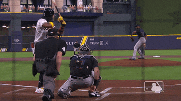 Major League Baseball Sport GIF by MLB