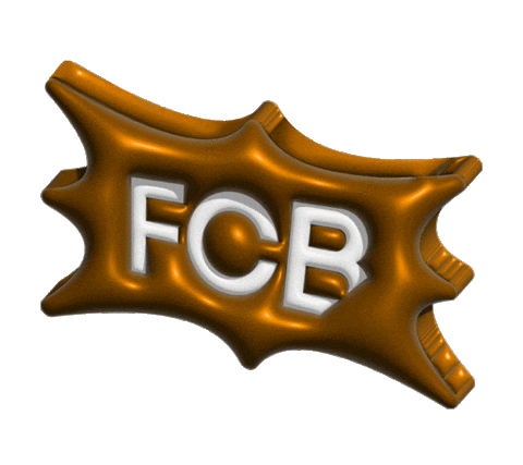 Advertising Cannes Sticker by FCBChi