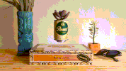 Beer Plant GIF