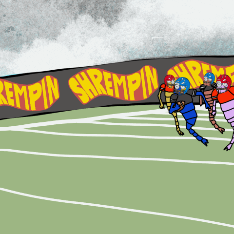 shrempin football good job enjoy teamwork GIF