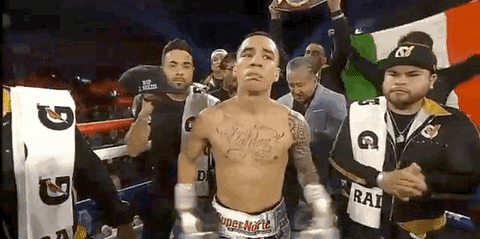 toprank giphyupload fight boxing fighting GIF