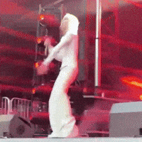 Lollapalooza Hollis GIF by Respective