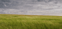 wind breathe GIF