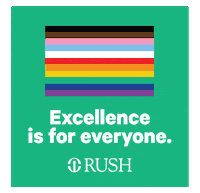 rushmedical pride flag rainbow flag excellence is for everyone excellence rush GIF