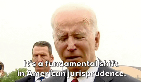 Joe Biden Democrats GIF by GIPHY News