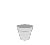 Plant Cactus Sticker