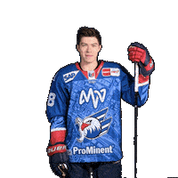 Alexander Ehl Sticker by Adler Mannheim