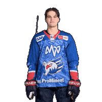 Max Heim Sticker by Adler Mannheim
