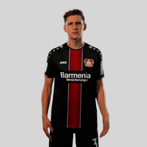 europa league what GIF by Bayer 04 Leverkusen