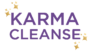 emilyaarons energy spiritual karma emily Sticker
