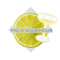 Pisco Sour Cat Sticker by Catan Pisco