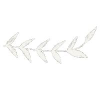 Flowers Leaf Sticker