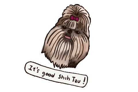 HonestKitchen giphyupload shihtzu shih tzu thk Sticker
