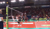 archivebottolo volleyball italia volley pallavolo GIF