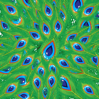 Krishna Janmashtami GIF by Chhota Bheem