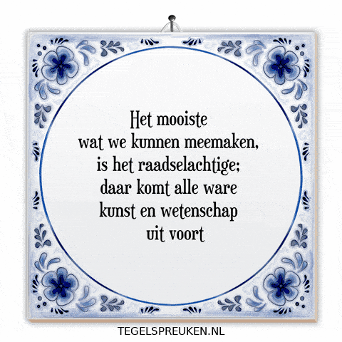 Wijsheid Reflectie GIF by Tegelspreuken.nl