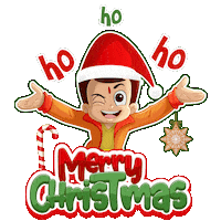 Santa Claus Christmas Sticker by Chhota Bheem