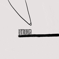 Cat Kitty GIF