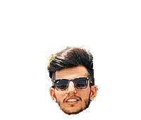 Amritsarfoodie Sticker by BORN ON INSTAGRAM