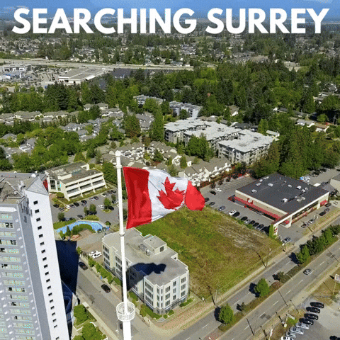 Business Surrey GIF by Oi