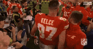 Super Bowl Sport GIF by NFL