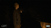 jaime lannister hbo GIF by Game of Thrones