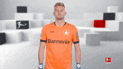 Bayer Leverkusen Reaction GIF by Bundesliga