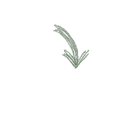 Arrow Pijl Sticker by Van der Plas sprouts