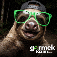 Funny Sloth GIF by Görmek Lazım