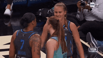 New York Liberty No GIF by YES Network