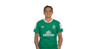 Sticker Emotionen Sticker by SV Werder Bremen