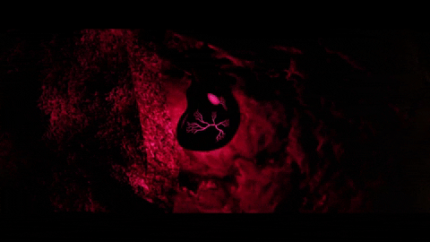 LossRec giphygifmaker GIF