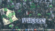 serie a soccer GIF by U.S. Sassuolo Calcio