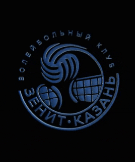 kazan zenitkazan GIF by Volleybal Club Zenit-Kazan